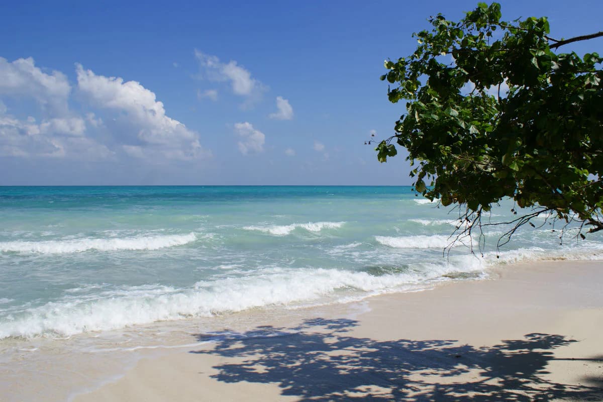 Port Blair – Havelock Island (Radhanagar & Kalapathar Beaches)