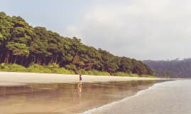 Neil Island – Port Blair (Bharatpur Beach & Corbyn’s Cove)
