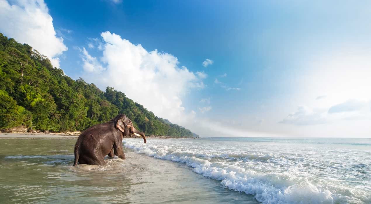 Havelock – Elephant Beach