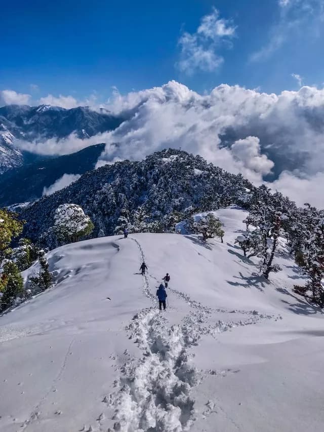 Hotels in Manali, Himachal Pradesh