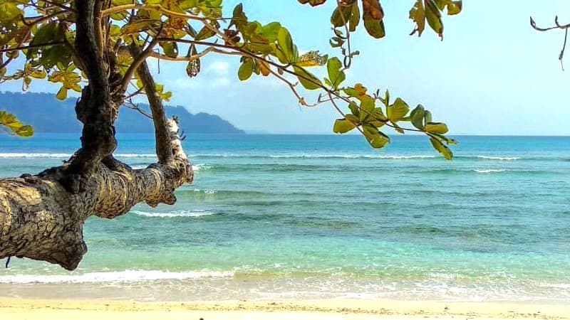 Port Blair – Havelock Island (Radhanagar & Kalapathar Beaches)