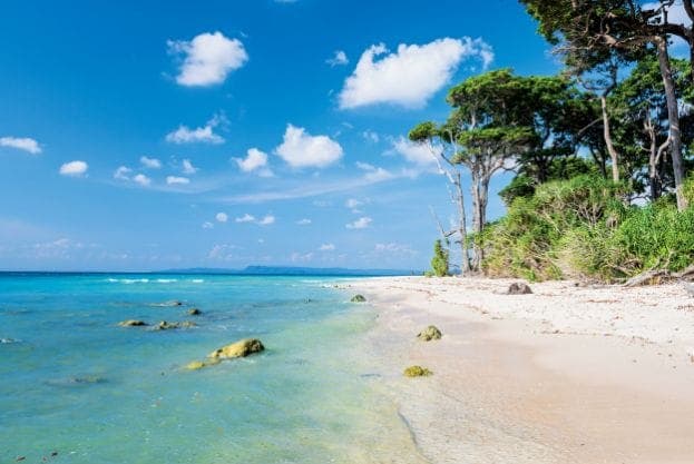 Havelock – Neil Island (Laxmanpur Beaches)