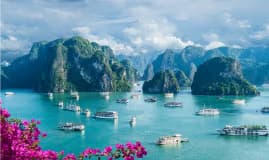 Ha Long Bay — Day Cruise with Kayaking & Lunch